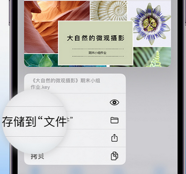 绥德apple维修中心分享iPhone文件应用中存储和找到下载文件