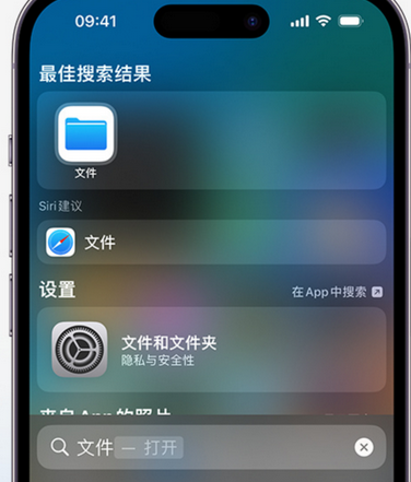 绥德apple维修中心分享iPhone文件应用中存储和找到下载文件 