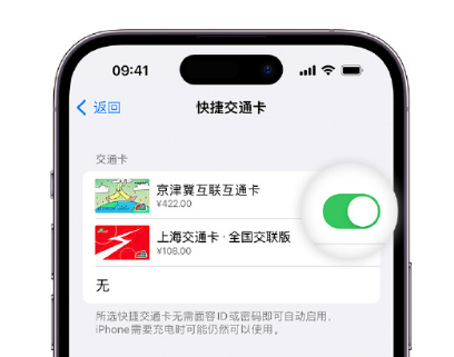 绥德apple维修点分享iPhone上更换Apple Pay快捷交通卡手绘卡面 