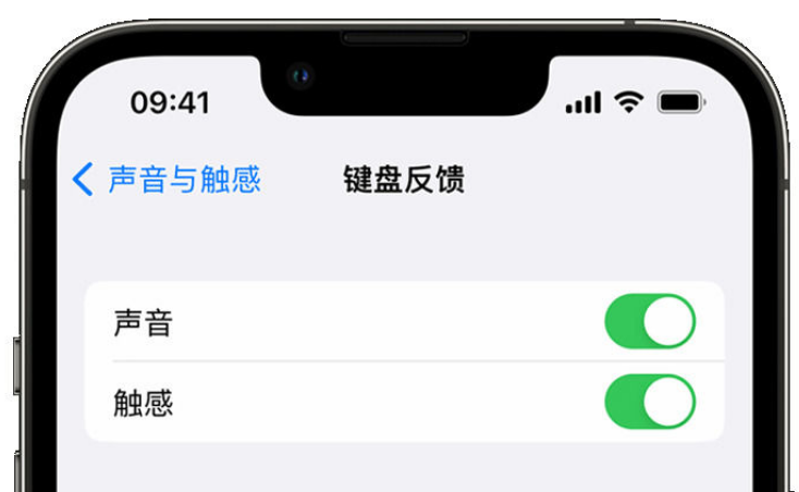 绥德苹果手机维修分享iPhone 14触感键盘使用方法 