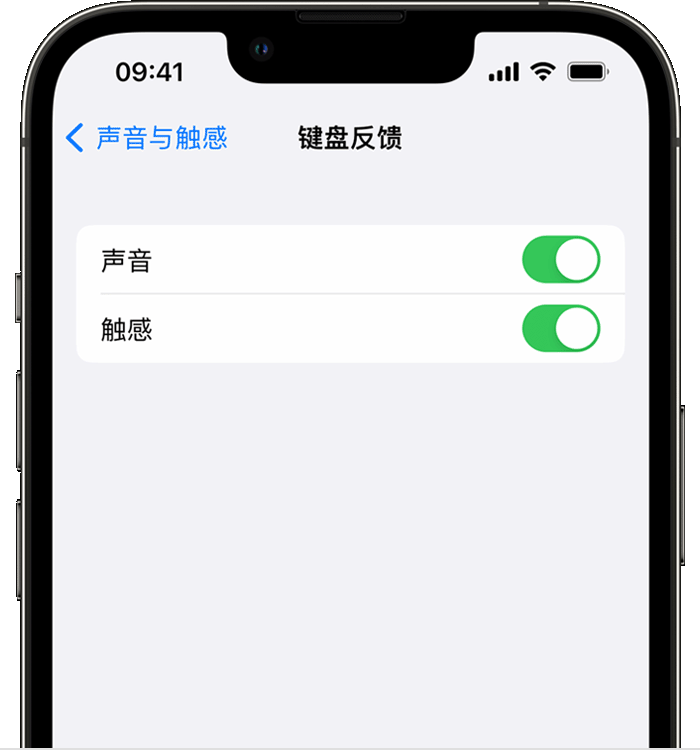 绥德苹果14维修店分享如何在 iPhone 14 机型中使用触感键盘 