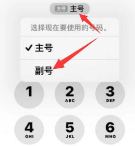 绥德苹果14维修店分享iPhone 14 Pro Max使用副卡打电话的方法 