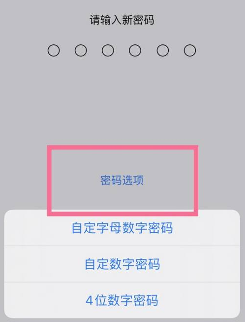 绥德苹果14维修分享iPhone 14plus设置密码的方法 