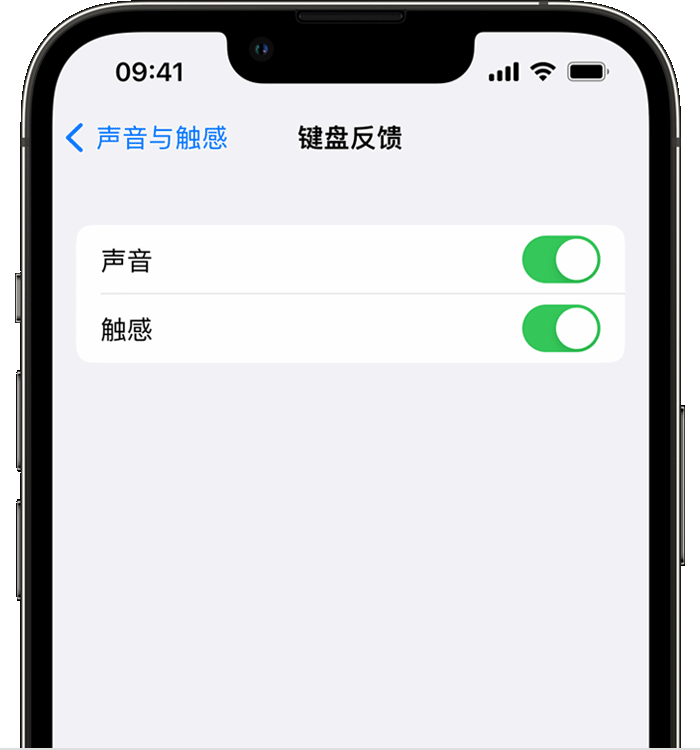 绥德苹果14维修分享iPhone 14 系列机型如何开启键盘声音或触感反馈 