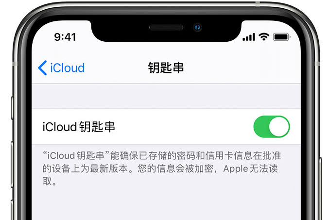 绥德苹果手机维修分享在 iPhone 上开启 iCloud 钥匙串之后会储存哪些信息 