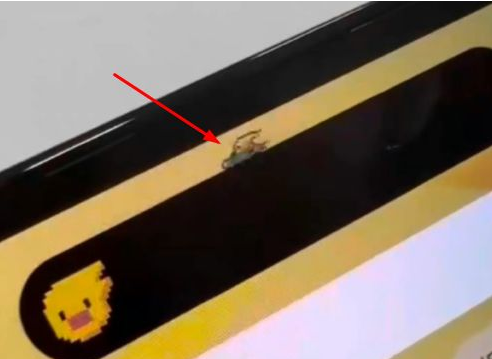 绥德苹果14维修分享iPhone 14 Pro Max灵动岛怎么养宠物 