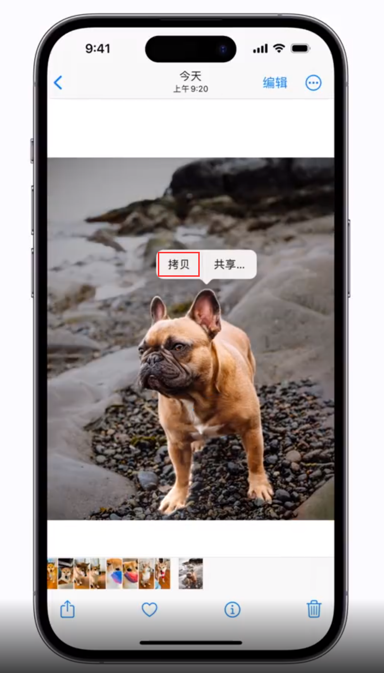 绥德苹果手机维修分享 iOS 16 自带一键抠图功能 