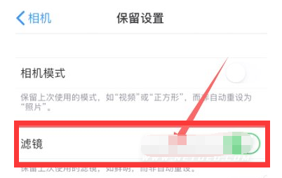 绥德苹果13维修分享iPhone13拍照有绿点是怎么回事 
