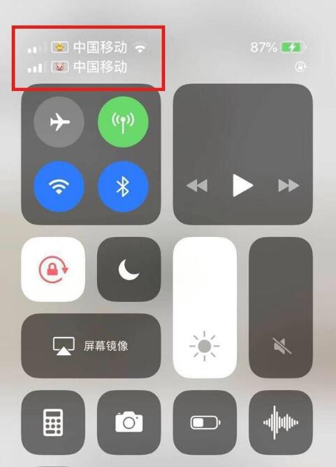 绥德苹果手机维修分享为 iPhone 12 双卡设置标签 
