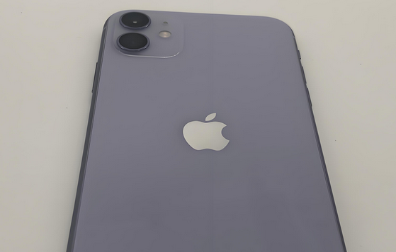 绥德苹果11系统维修分享iPhone11手机系统崩溃无法开机如何解决